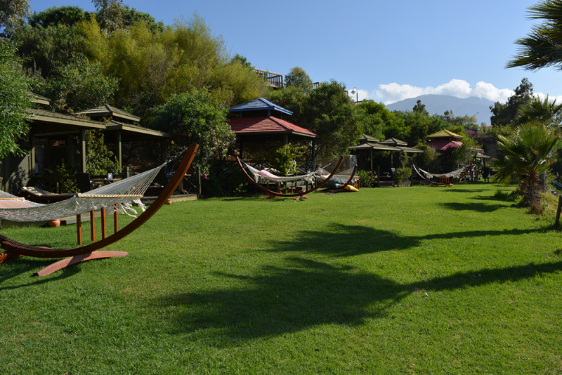 Çınar Ahşap | NET HOLDİNG - MERİT CRYSTAL COVE HOTEL - KIBRIS