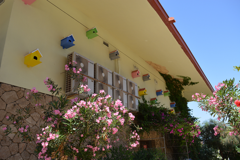 Çınar Ahşap | NET HOLDİNG - MERİT CRYSTAL COVE HOTEL - KIBRIS