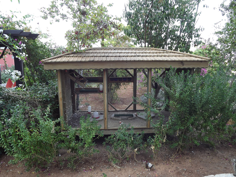 Çınar Ahşap | NET HOLDİNG - MERİT CRYSTAL COVE HOTEL - KIBRIS