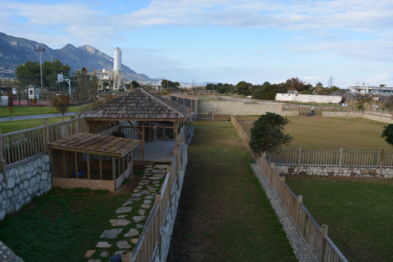 Çınar Ahşap | NET HOLDİNG -  MERİT PREMIUM HOTEL - KIBRIS