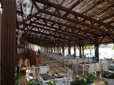 Çınar Ahşap | NET HOLDİNG - MERİT PARK OTEL - KIBRIS