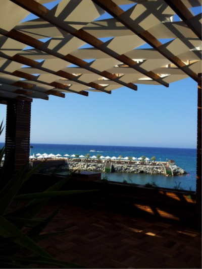 Çınar Ahşap | OSCAR GROUP - VUNİ PALACE HOTEL - KIBRIS