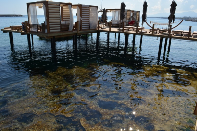 Çınar Ahşap | LORD PALACE HOTEL - KIBRIS