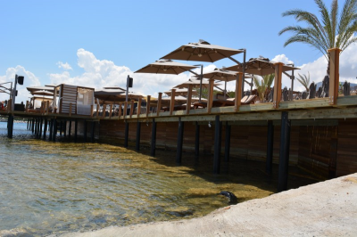 Çınar Ahşap | LORD PALACE HOTEL - KIBRIS