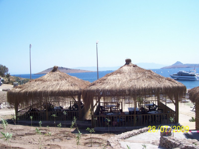 Çınar Ahşap | ORTAKENT BELEDİYESİ - BODRUM