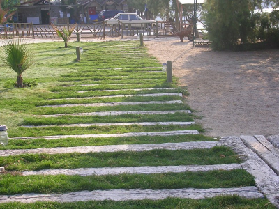 Çınar Ahşap | DEDEMAN HOLDİNG - CLUP AQUA PARK - BODRUM