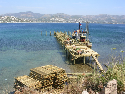 Çınar Ahşap | AZİZ YILDIRIM - YALIKAVAK VİLLALARI - BODRUM