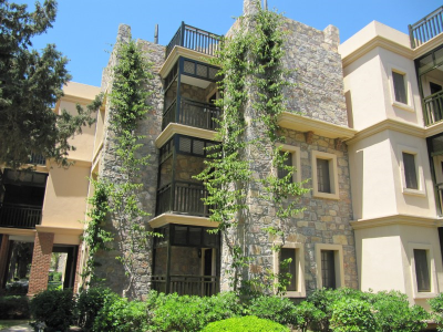 Çınar Ahşap | CLUP MAGİC LİFE - BODRUM