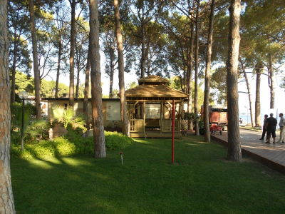 Çınar Ahşap | SHARK HOTELS - ÖMER TATİL KÖYÜ - KUŞADASI