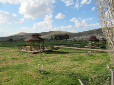 Çınar Ahşap | 26 AĞUSTOS TABİAT PARKI - AFYON