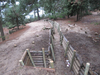 Çınar Ahşap | ÇANAKKALE BELEDİYESİ - ŞEHİTLİK