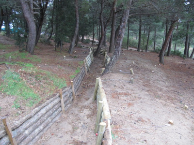 Çınar Ahşap | ÇANAKKALE BELEDİYESİ - ŞEHİTLİK