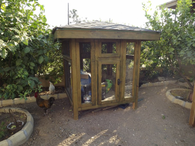 Çınar Ahşap | HULKİ BEY - KIBRIS