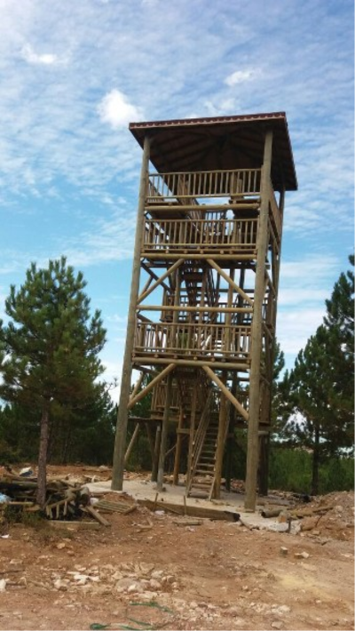 Çınar Ahşap | BEYŞEHİR ORM. İŞLT. MÜD