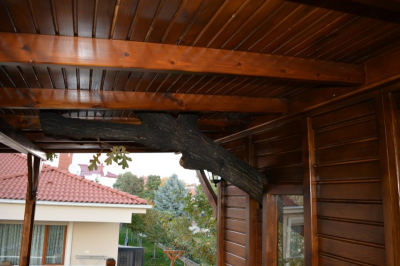 Çınar Ahşap | DR. NURAY HANIM - VİLLA - KONYA